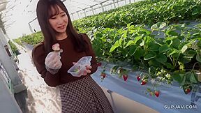 4532115 Vol.25 [uncensored]