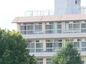 Hairy Japanese Teacher Gives Jaw-Dropping Uncensored POV Blowjob