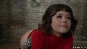 ”Gagged bound Asian rough ravaged”