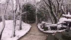 Viking sexual war - DVD