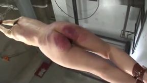 Bondage in Nihon: Masters Wielding Canes and Tape