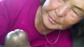 ”Asian Old Woman Sucks Ebony Meat In The Car”